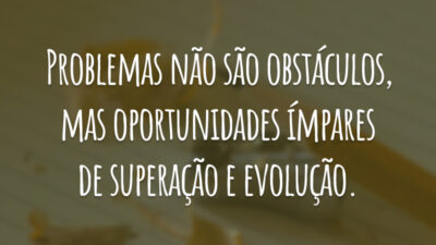 Problemas não são obstáculos, mas oportunidades ímpares de superação e evolução.