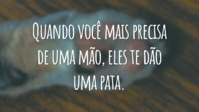 Quando você mais precisa de uma mão, eles te dão uma pata.