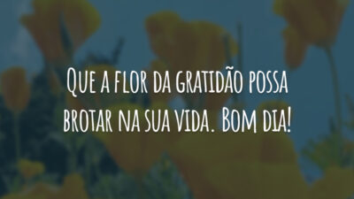 Que a flor da gratidão possa brotar na sua vida. Bom dia!