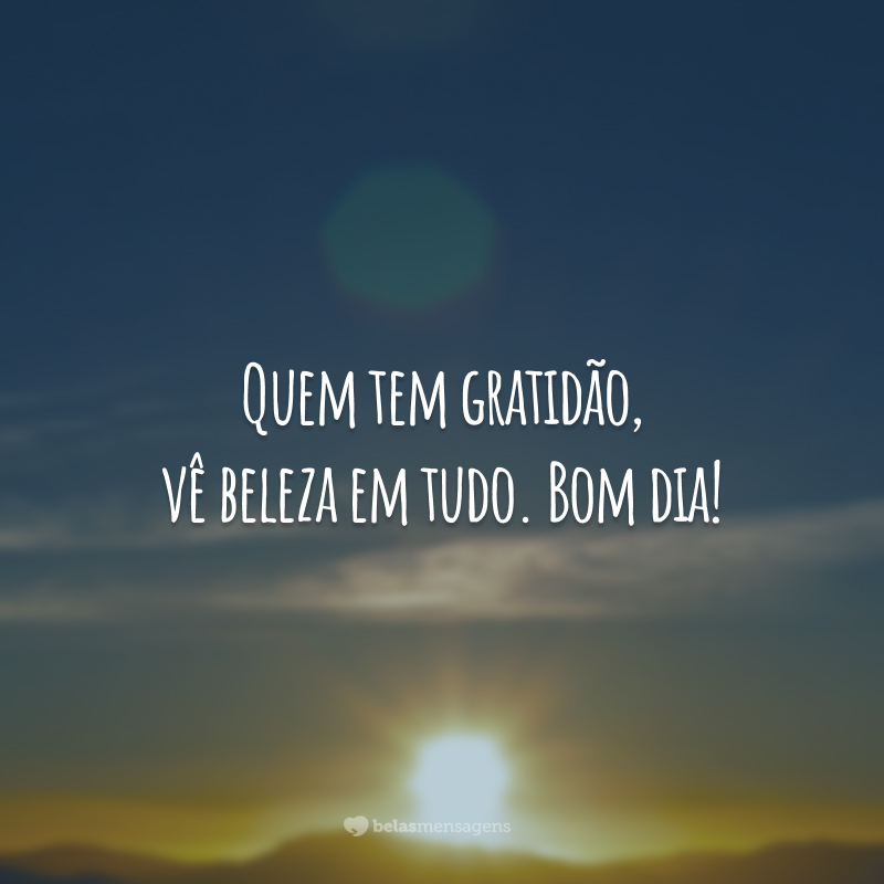 Quem tem gratidão, vê beleza em tudo. Bom dia!