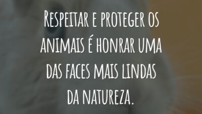 Respeitar e proteger os animais é honrar uma das faces mais lindas da natureza.
