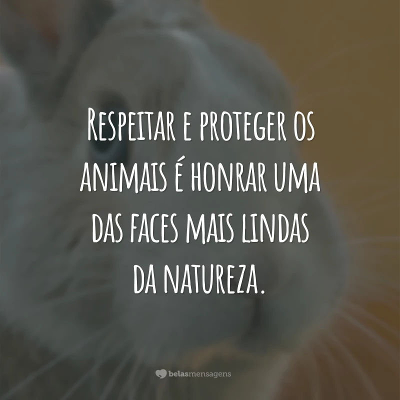 Respeitar e proteger os animais é honrar uma das faces mais lindas da natureza.