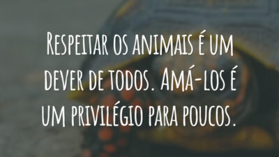 Respeitar os animais é um dever de todos. Amá-los é um privilégio para poucos.