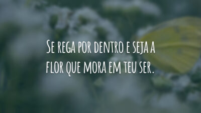 Se rega por dentro e seja a flor que mora em teu ser.