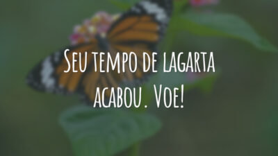 Seu tempo de lagarta acabou. Voe!