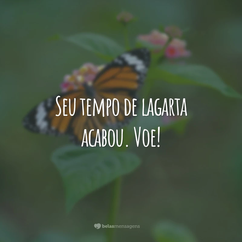 Seu tempo de lagarta acabou. Voe!