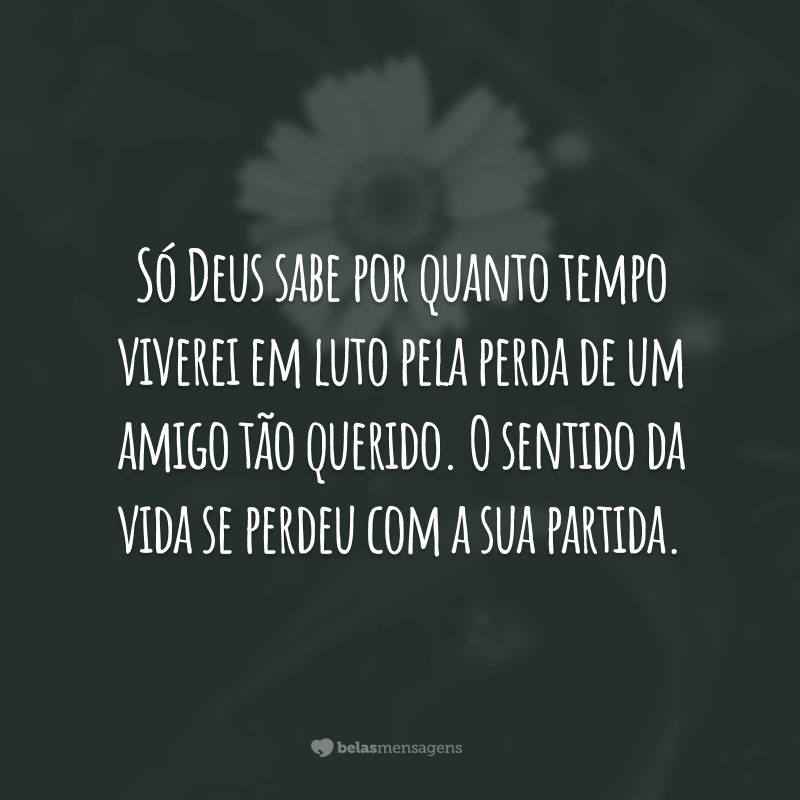 Só Deus sabe por quanto tempo viverei em luto pela perda de um amigo tão querido. O sentido da vida se perdeu com a sua partida.