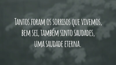 Tantos foram os sorrisos que vivemos, bem sei, também sinto saudades, uma saudade eterna.
