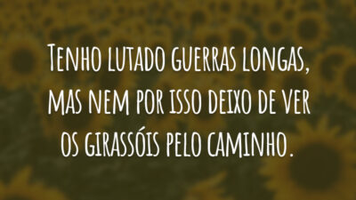 Tenho lutado guerras longas, mas nem por isso deixo de ver os girassóis pelo caminho.