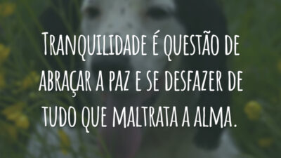 Tranquilidade é questão de abraçar a paz e se desfazer de tudo que maltrata a alma.