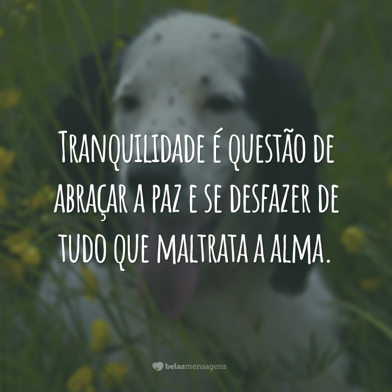 Tranquilidade é questão de abraçar a paz e se desfazer de tudo que maltrata a alma.