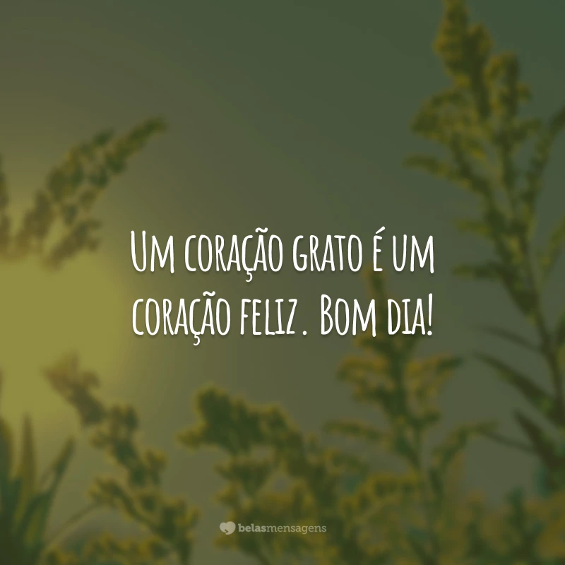 Um coração grato é um coração feliz. Bom dia!