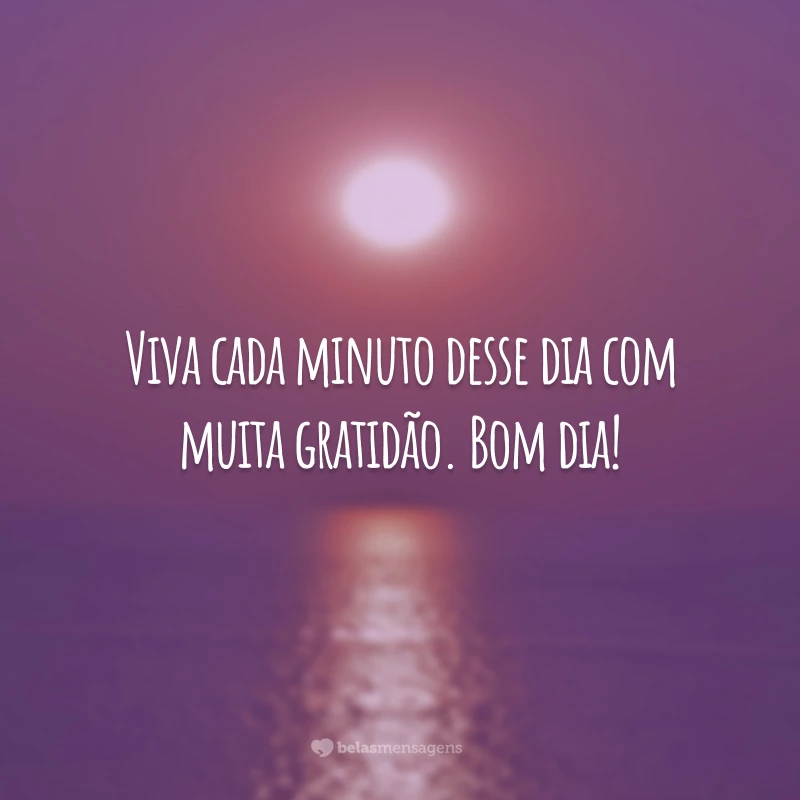 Viva cada minuto desse dia com muita gratidão. Bom dia!