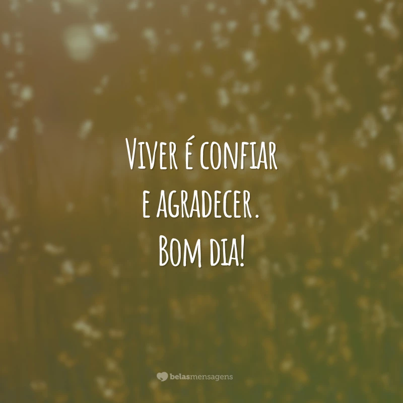 Viver é confiar e agradecer. Bom dia!