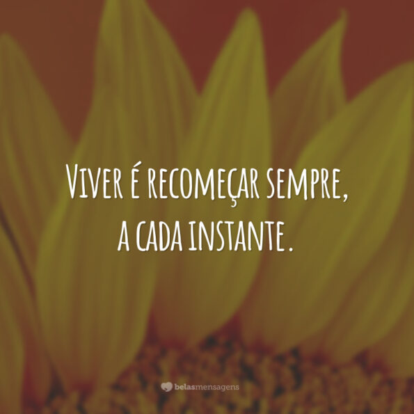 40 frases de valorização da vida para agradecer cada dia