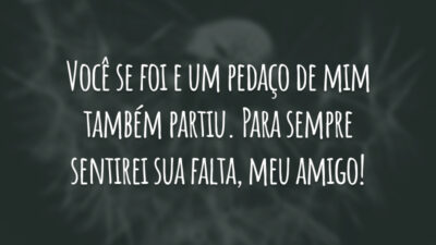 Você se foi e um pedaço de mim também partiu. Para sempre sentirei sua falta, meu amigo!