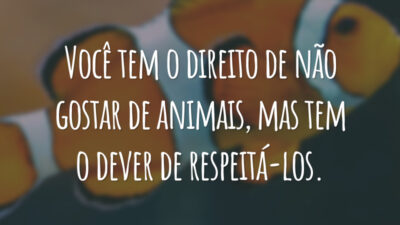 Você tem o direito de não gostar de animais, mas tem o dever de respeitá-los.