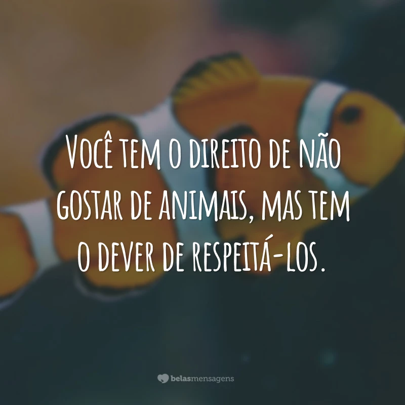 Você tem o direito de não gostar de animais, mas tem o dever de respeitá-los.