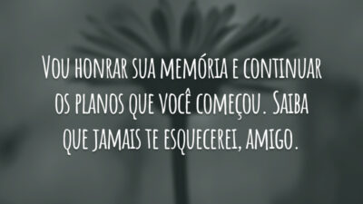 Vou honrar sua memória e continuar os planos que você começou. Saiba que jamais te esquecerei, amigo.