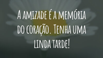 A amizade é a memória do coração. Tenha uma linda tarde!