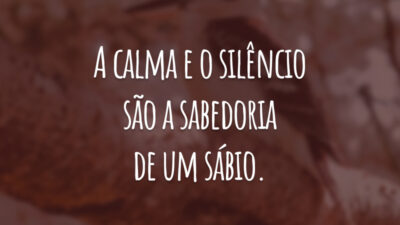 A calma e o silêncio são a sabedoria de um sábio.