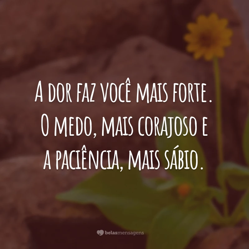 A dor faz você mais forte. O medo, mais corajoso e a paciência, mais sábio.