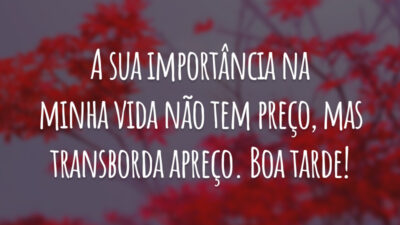 A sua importância na minha vida não tem preço, mas transborda apreço. Boa tarde!