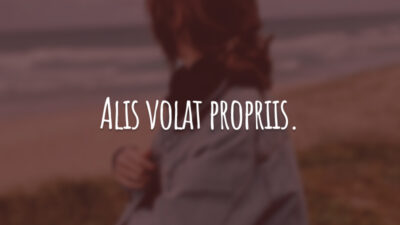 Alis volat propriis. (Voas com as próprias asas.)