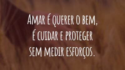 Amar é querer o bem, é cuidar e proteger sem medir esforços.