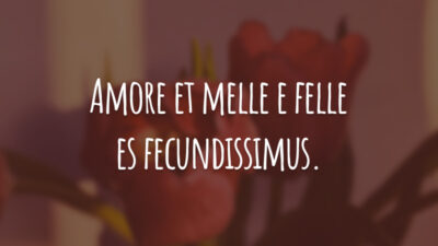 Amore et melle e felle es fecundissimus. (O amor é rico em mel e veneno.)