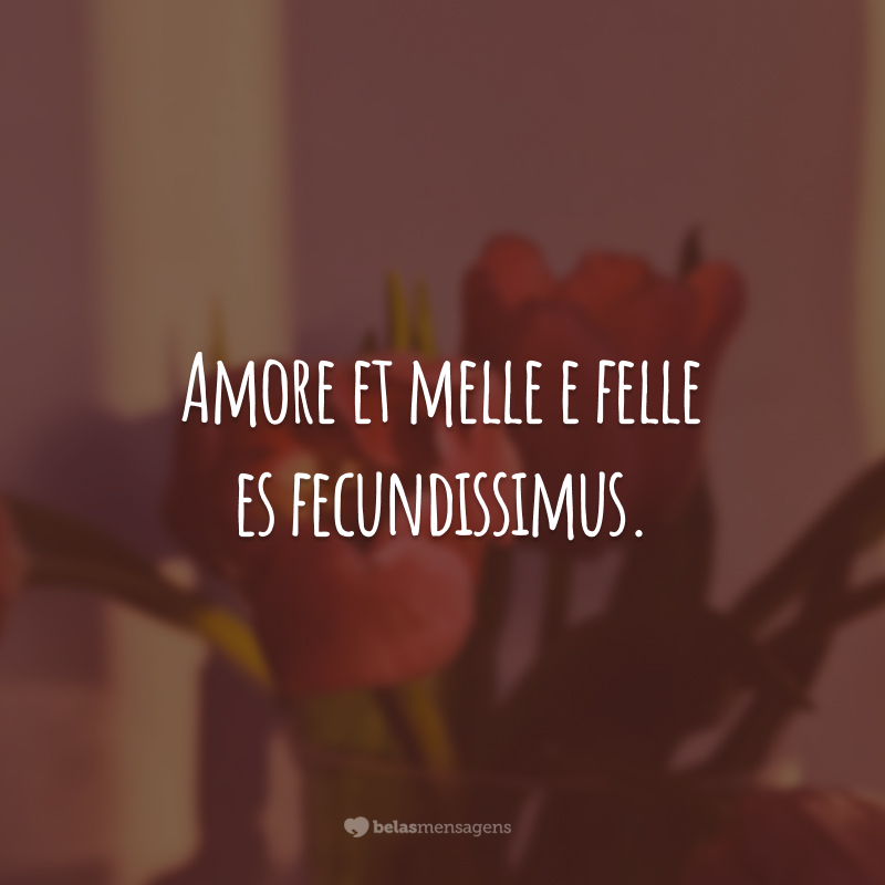 Amore et melle e felle es fecundissimus. (O amor é rico em mel e veneno.)