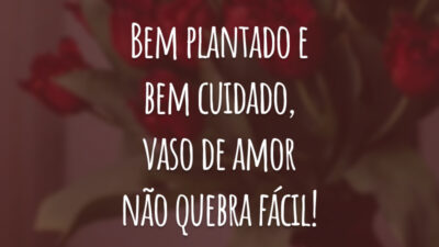 Bem plantado e bem cuidado, vaso de amor não quebra fácil!