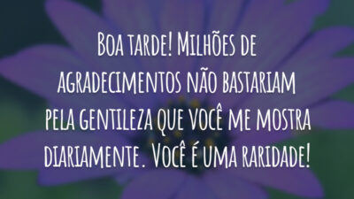 Boa tarde! Milhões de agradecimentos não bastariam pela gentileza que você me mostra diariamente. Você é uma raridade!