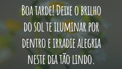 Boa tarde! Deixe o brilho do sol te iluminar por dentro e irradie alegria neste dia tão lindo.