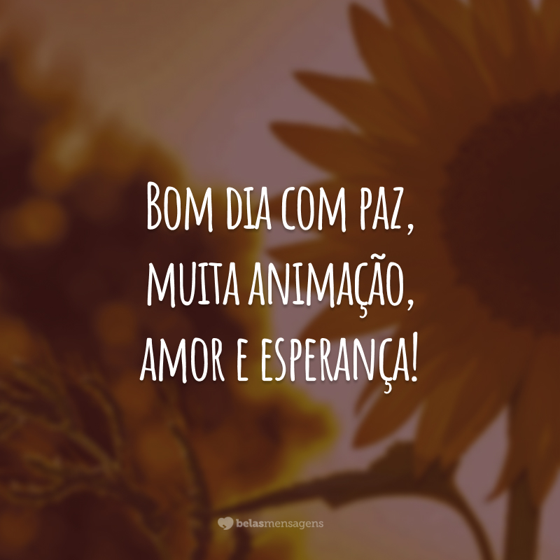 Bom dia com paz, muita animação, amor e esperança!