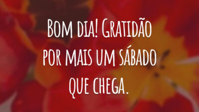 Bom dia! Gratidão por mais um sábado que chega.