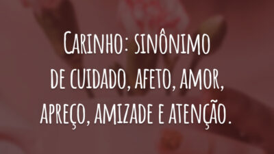 Carinho: sinônimo de cuidado, afeto, amor, apreço, amizade e atenção.