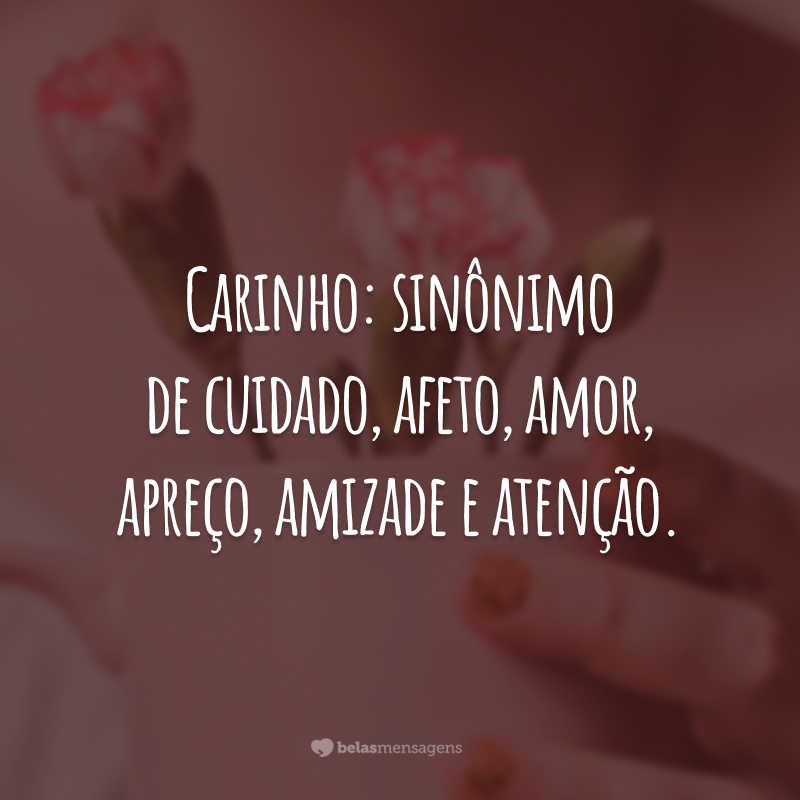 Carinho: sinônimo de cuidado, afeto, amor, apreço, amizade e atenção.