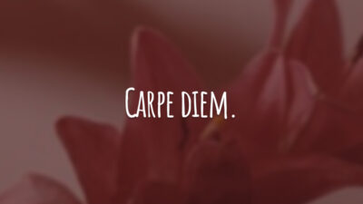 Carpe diem. (Aproveite o dia.)