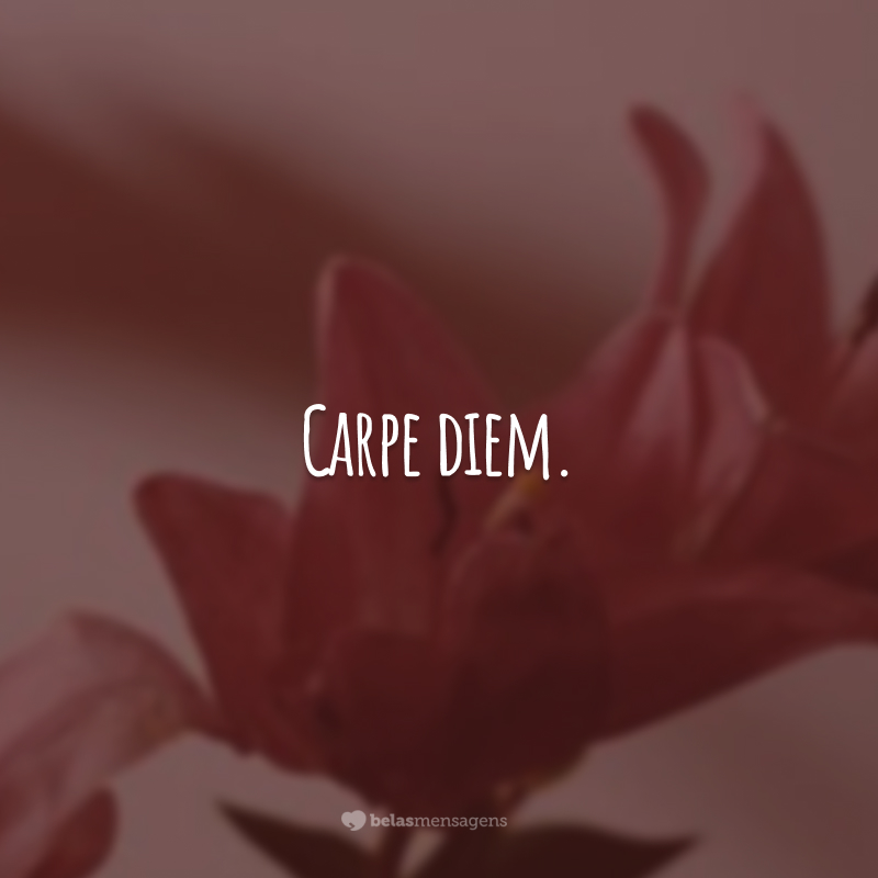 Carpe diem. (Aproveite o dia.)