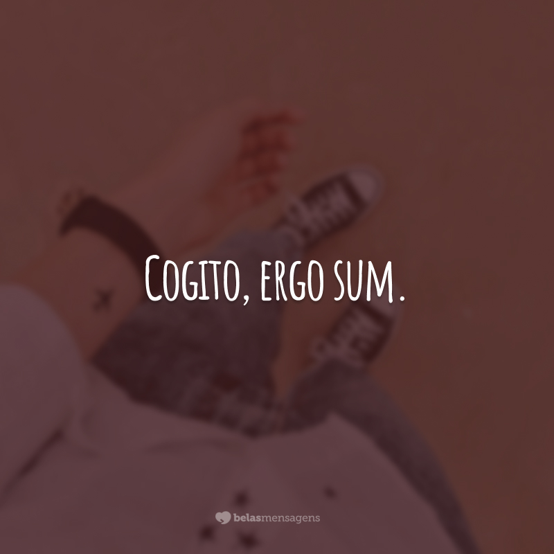 Cogito, ergo sum. (Penso, logo existo).