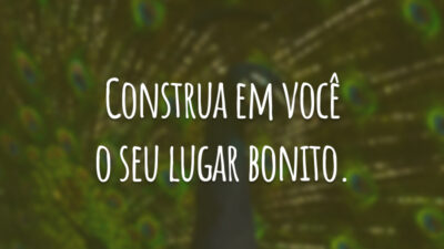 Construa em você o seu lugar bonito.