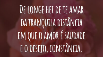 De longe hei de te amar da tranquila distância em que o amor é saudade e o desejo, constância.