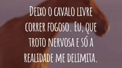 Deixo o cavalo livre correr fogoso. Eu, que troto nervosa e
só a realidade me delimita.
