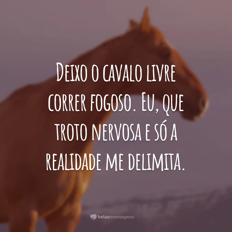 Deixo o cavalo livre correr fogoso. Eu, que troto nervosa e
só a realidade me delimita.