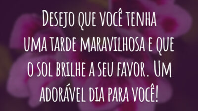 Desejo que você tenha uma tarde maravilhosa e que o sol brilhe a seu favor. Um adorável dia para você!