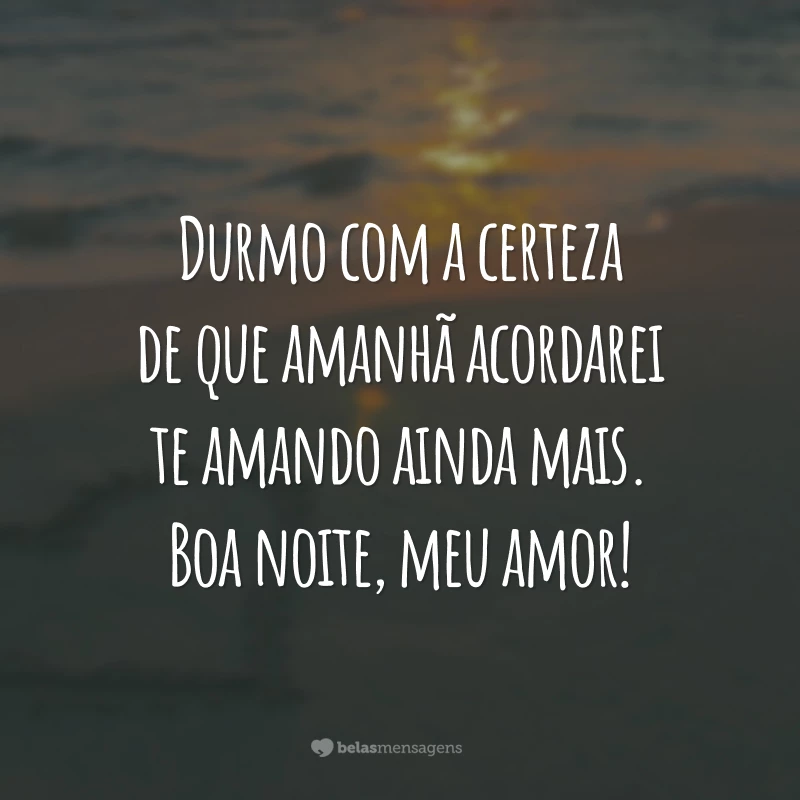 Durmo com a certeza de que amanhã acordarei te amando ainda mais. Boa noite, meu amor!