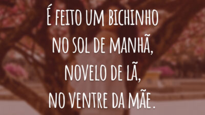 É feito um bichinho no sol de manhã, novelo de lã, no ventre da mãe.
