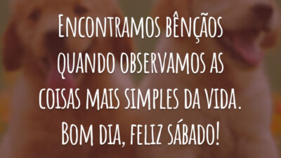 Encontramos bênçãos quando observamos as coisas mais simples da vida. Bom dia, feliz sábado!