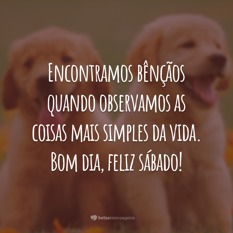 Encontramos bênçãos quando observamos as coisas mais simples da vida. Bom dia, feliz sábado!